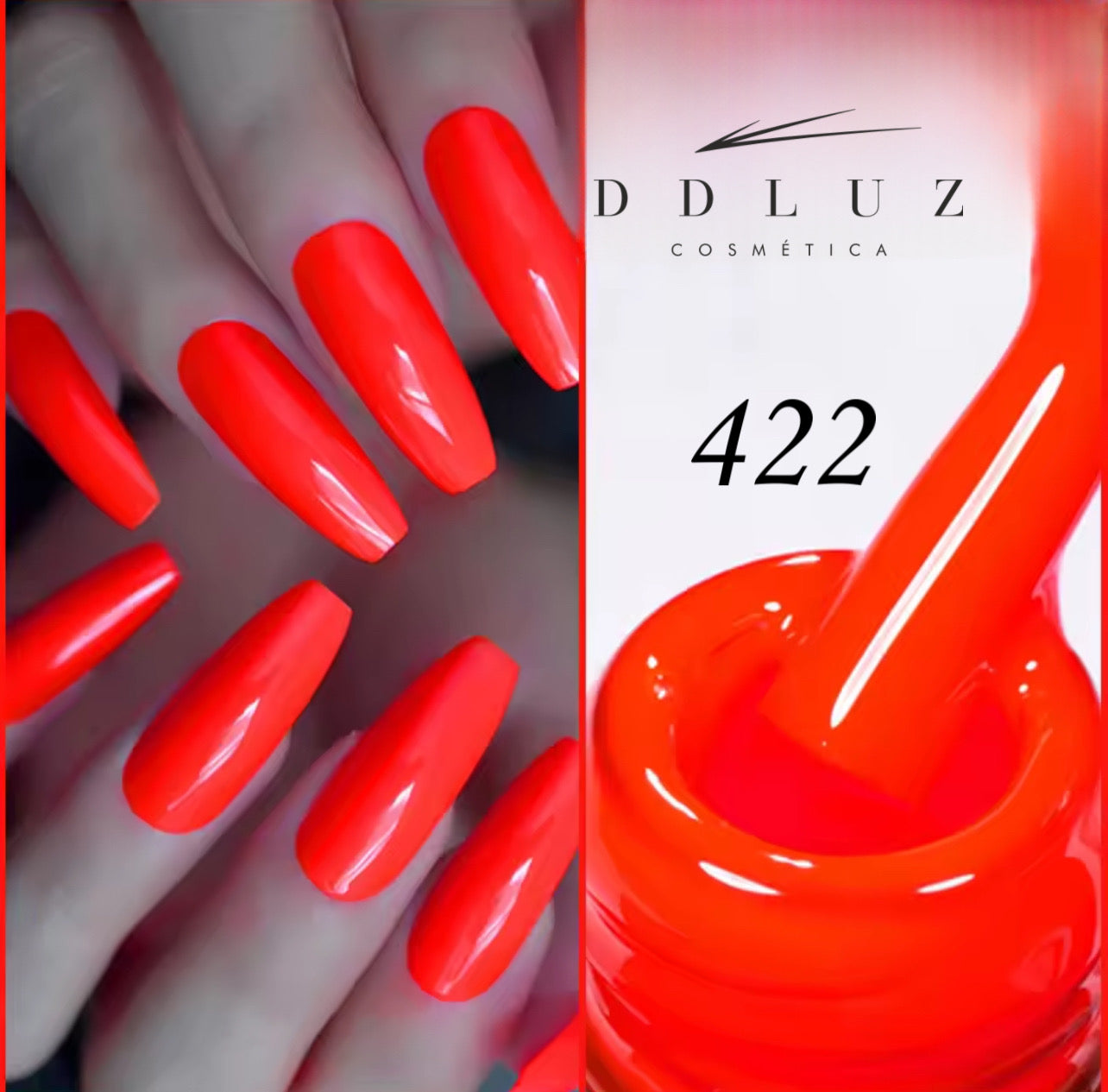 DDLUZ   422