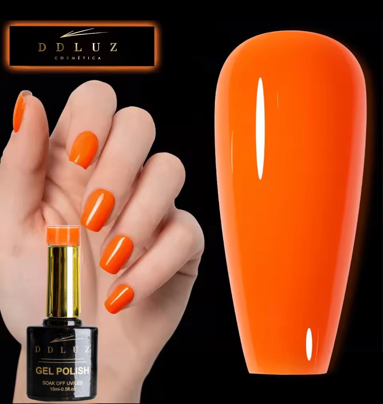 DDLUZ   384