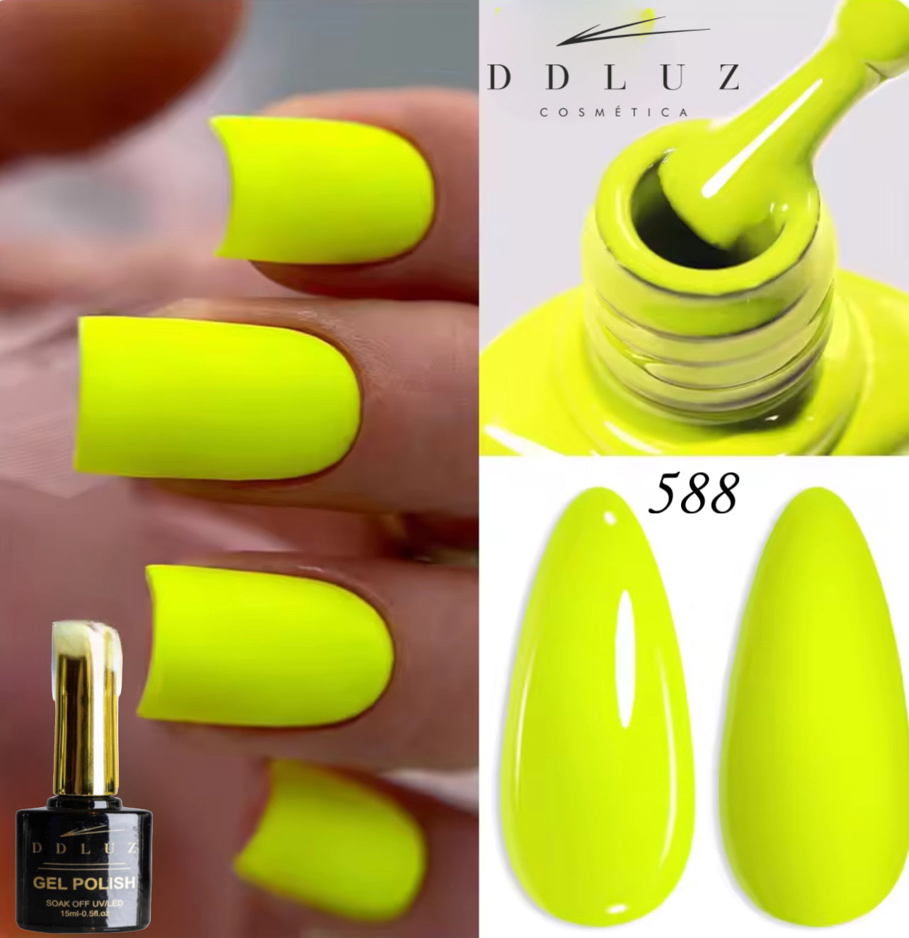 Ddluz 588