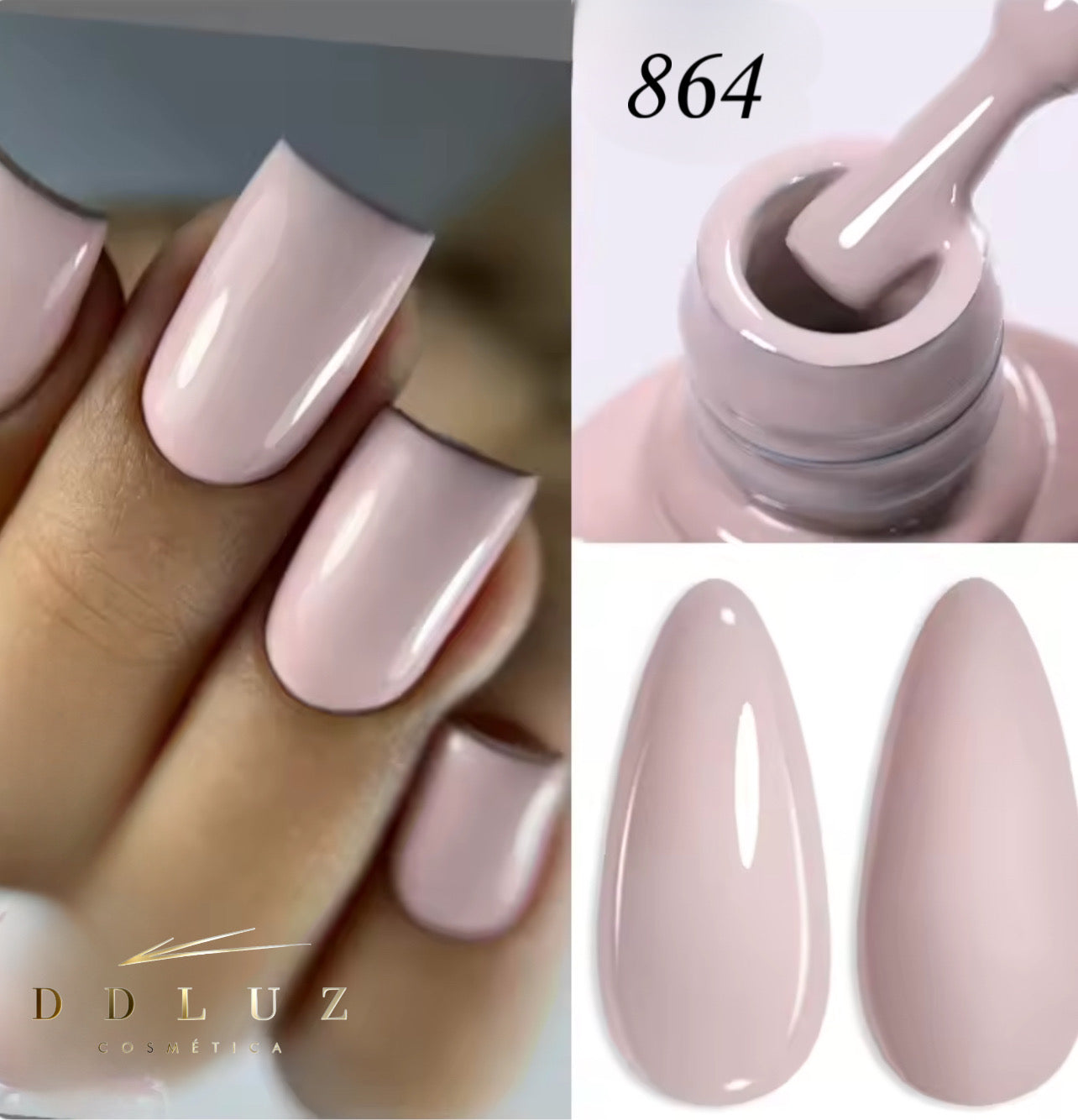 Ddluz   864