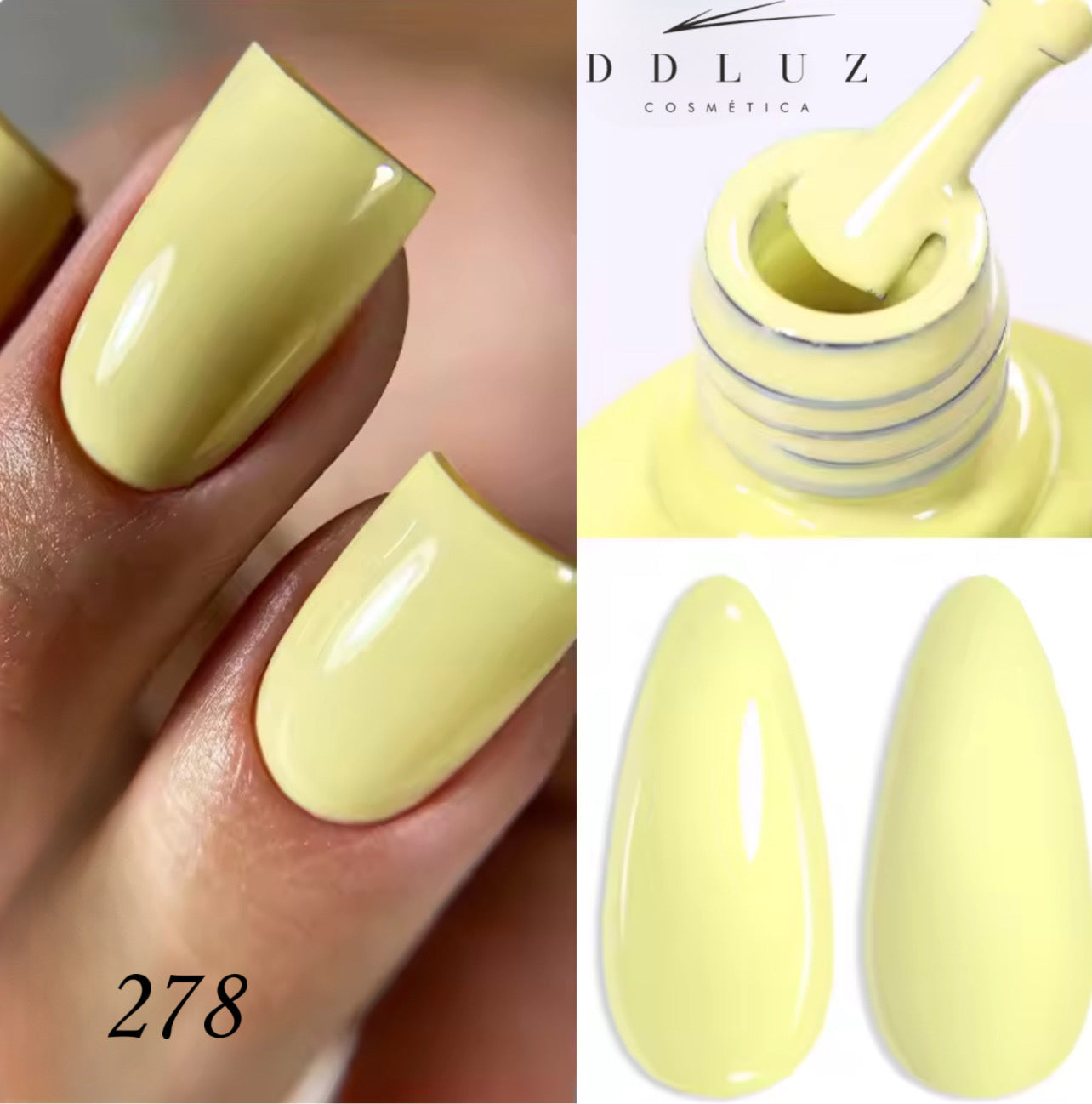 Ddluz  278