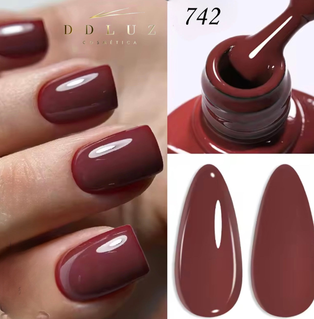Ddluz    742