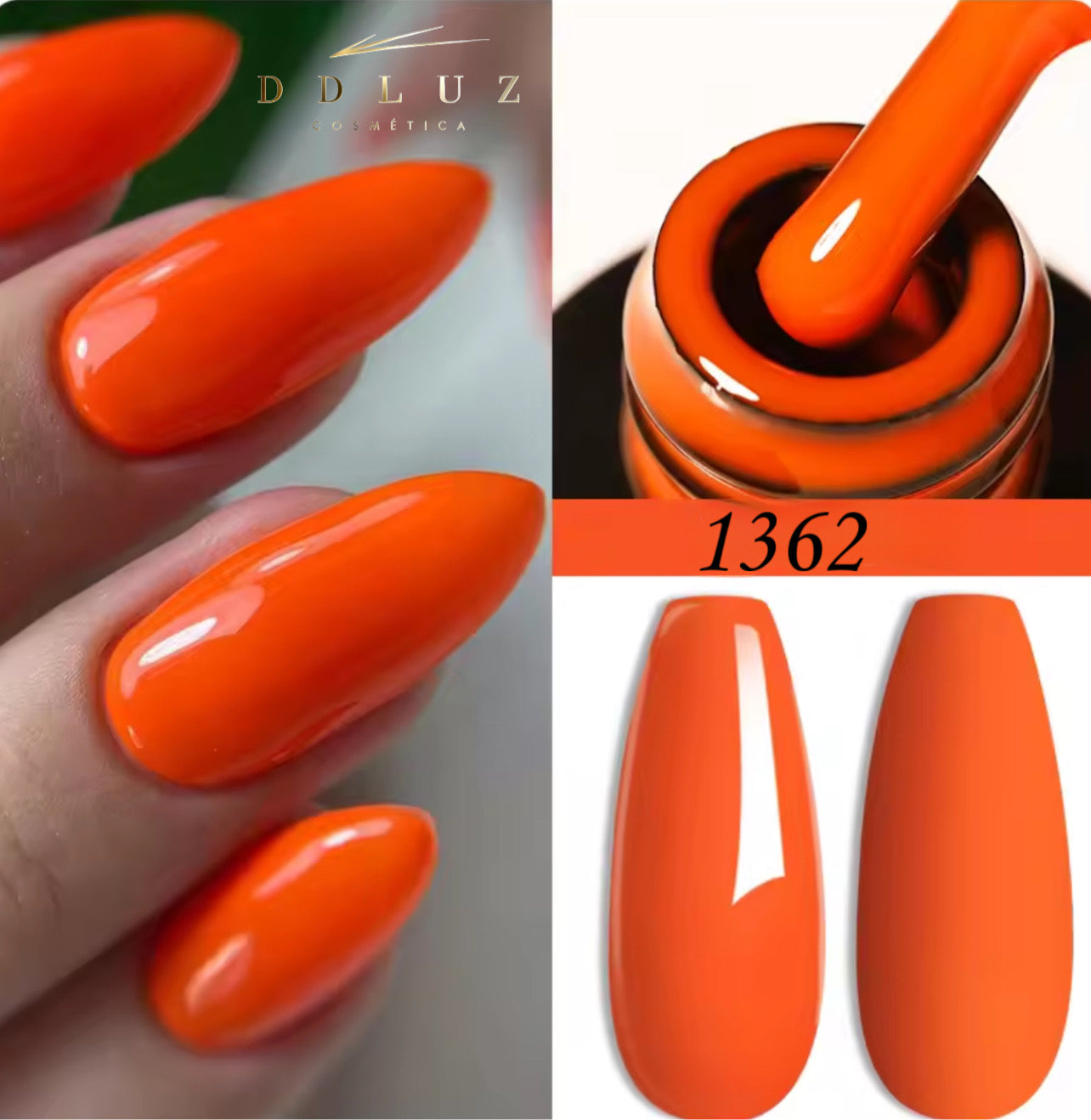 DDLUZ 1362
