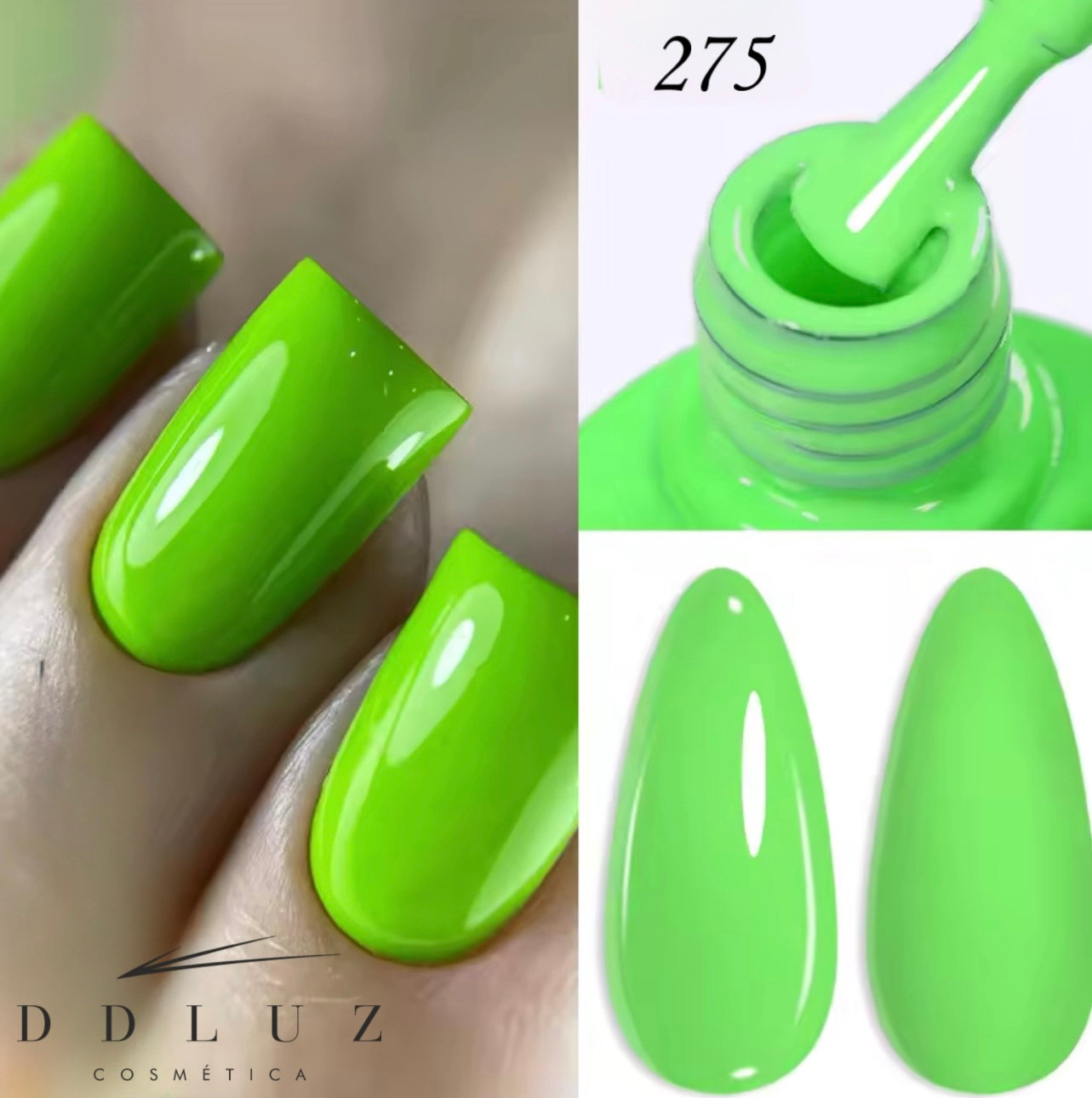 DDLUZ  275