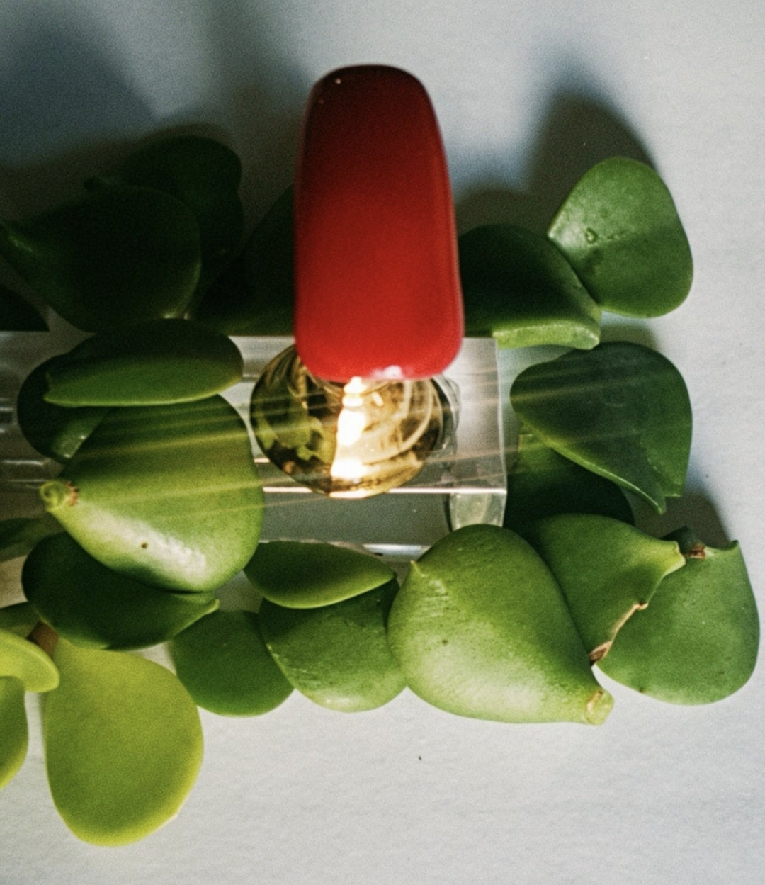 Esmalte N°57 nuevo - Cosmetica greenstyle
