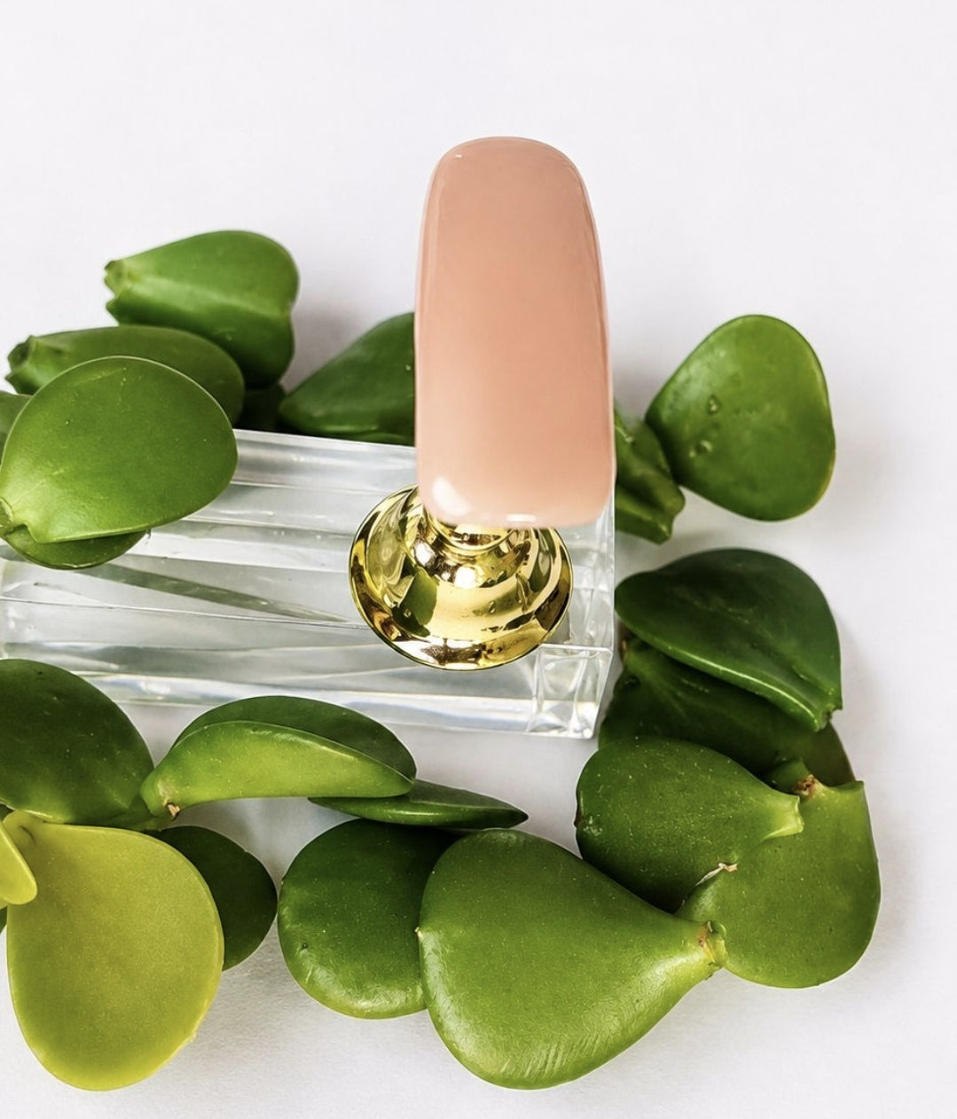 Esmalte Semipermanente N°FR 10 - Cosmetica greenstyle
