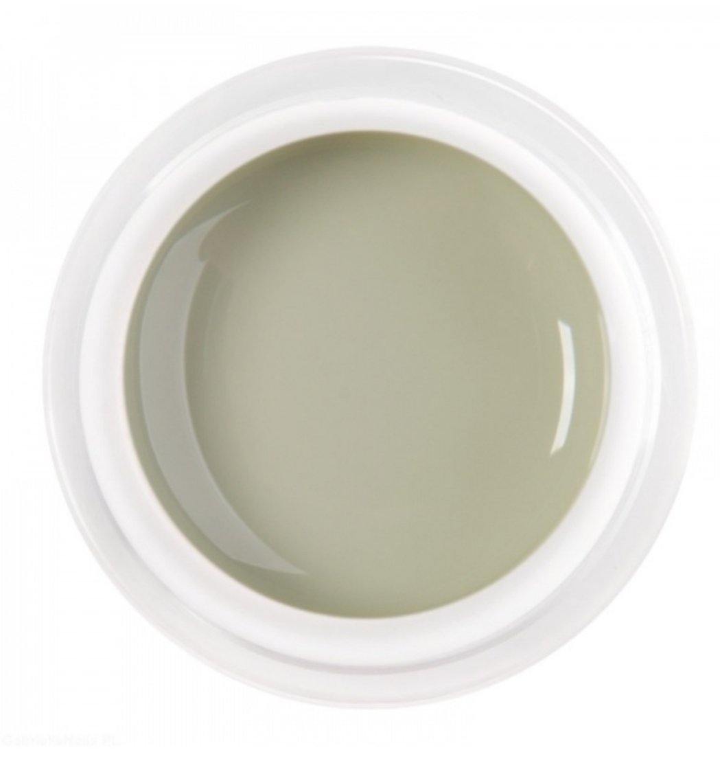 Paints V.grisazo - Cosmética greenstyle