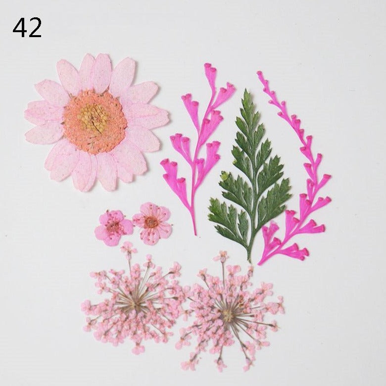 Flores tallos secas